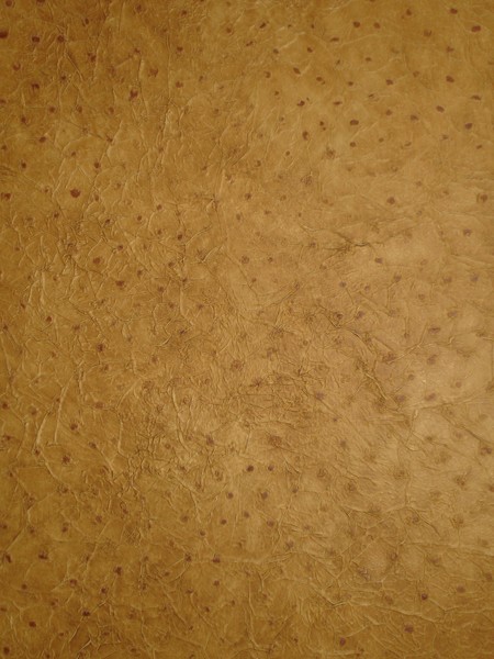 custom_finishes/24968_556304.JPG