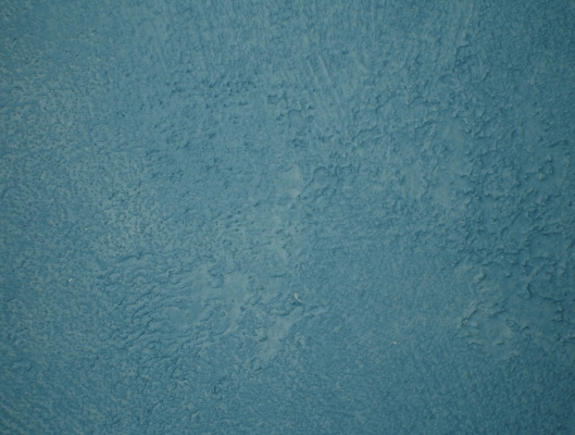 faux-finishes/DSC00836.JPG
