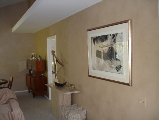 faux-finishes/DSC01288.JPG